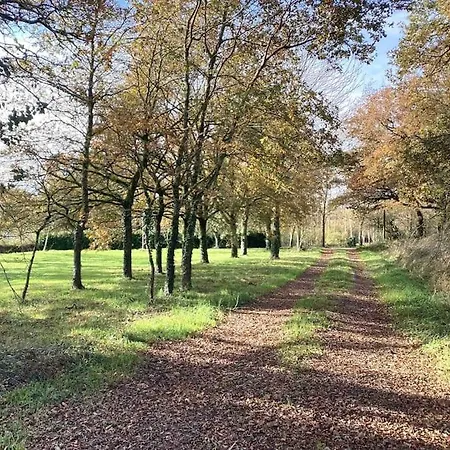 Ferienhaus Le D'arthur *